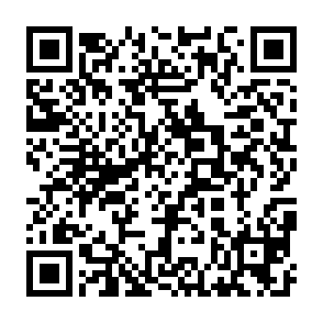 蔵見学予約QRコード2026